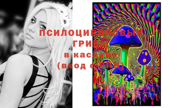 скорость Алексин